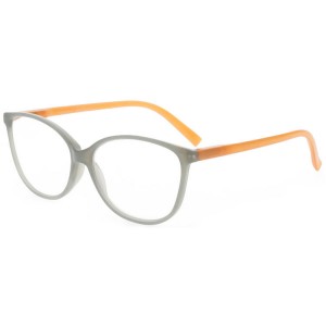 Plastic Reading Glasses