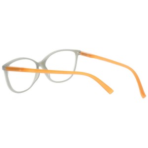 Plastic Reading Glasses