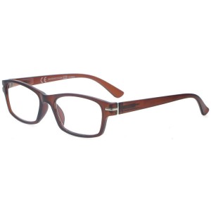 Plastic Reading Glasses