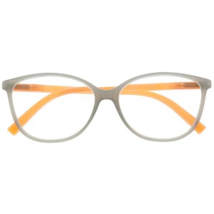 Plastic Reading Glasses