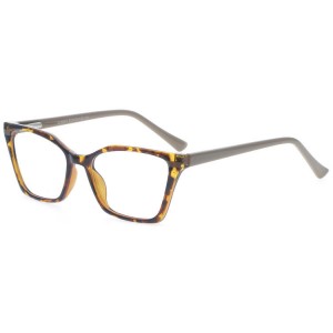 TR90 Optical Frames