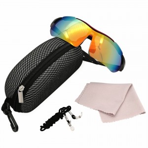 Plastic Sunglasses