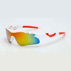 Plastic Sunglasses