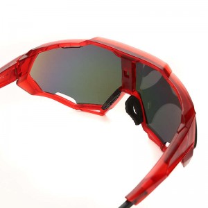 Plastic Sunglasses