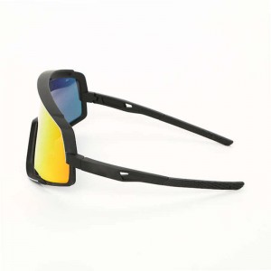 Plastic Sunglasses