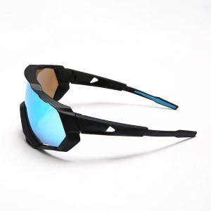 Plastic Sunglasses