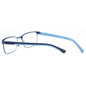 Reading Glasses