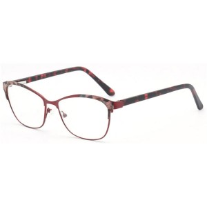 Reading Glasses