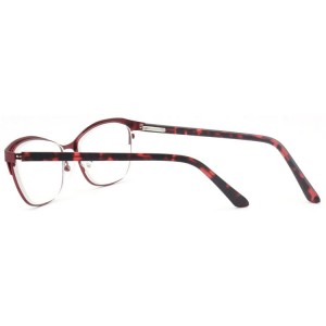 Reading Glasses