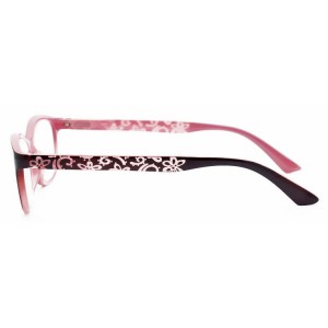 Plastic Reading Glasses