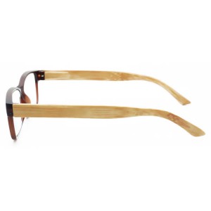 Plastic Reading Glasses