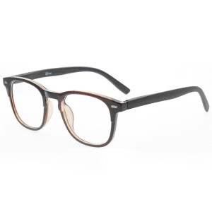 Plastic Reading Glasses