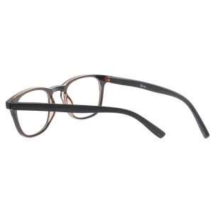 Plastic Reading Glasses