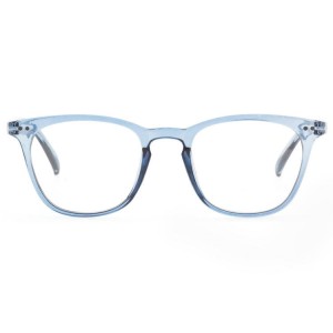 Plastic Reading Glasses