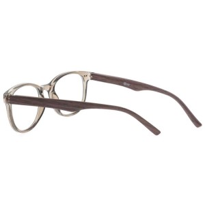 Plastic Reading Glasses