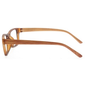 Plastic Reading Glasses