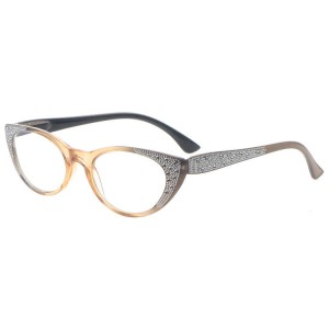 Plastic Reading Glasses