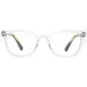 Plastic Reading Glasses