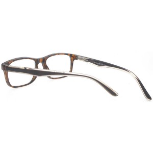 Plastic Reading Glasses