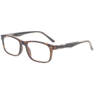 Plastic Reading Glasses