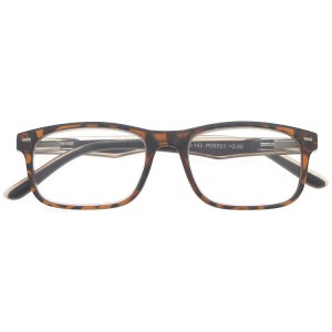 Plastic Reading Glasses