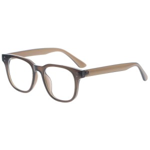 Plastic Reading Glasses