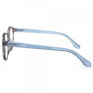 Plastic Reading Glasses