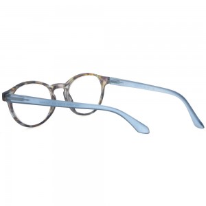 Plastic Reading Glasses