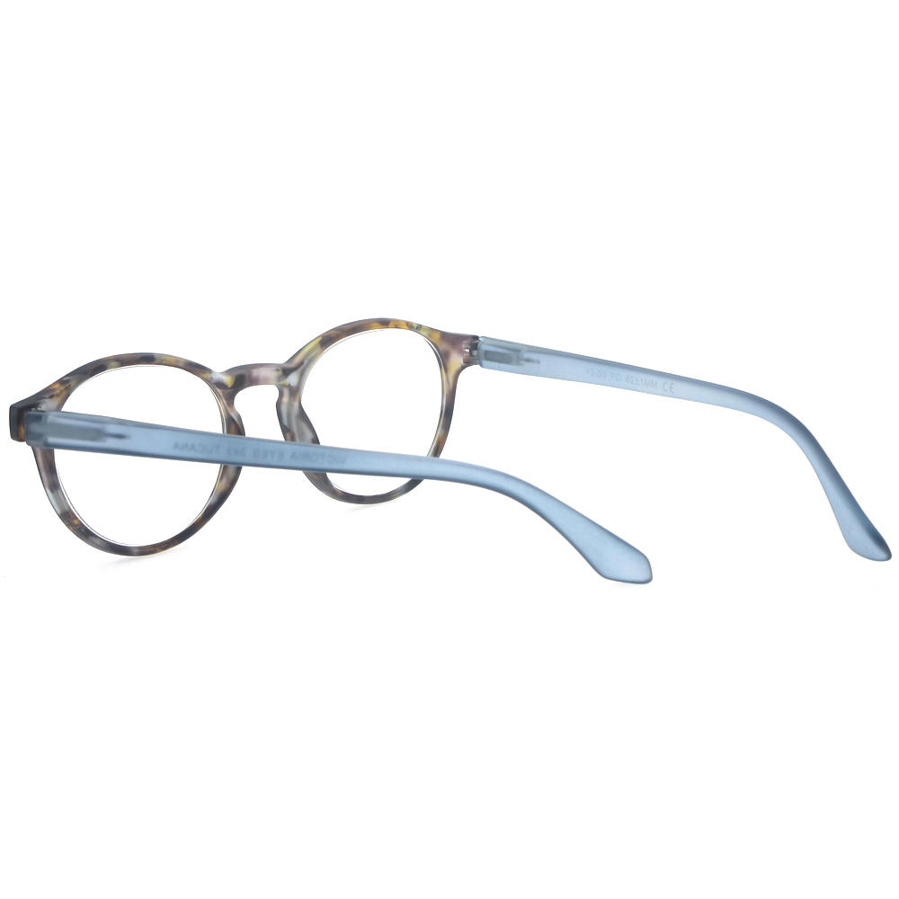 Dachuan Optical DRP102224 China Wholesale Retro Design Unisex Plastic Reading Glasses with Spring Hinge (13)