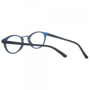 Plastic Reading Glasses