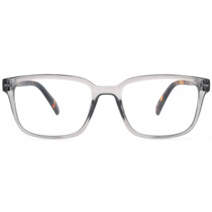 Plastic Reading Glasses