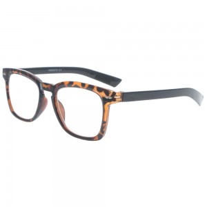 Plastic Reading Glasses