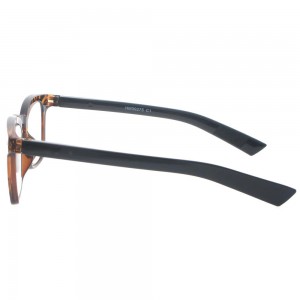 Plastic Reading Glasses