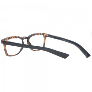 Plastic Reading Glasses