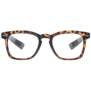 Plastic Reading Glasses