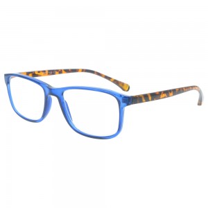 Plastic Reading Glasses