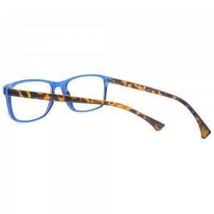 Plastic Reading Glasses