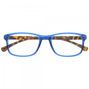 Plastic Reading Glasses