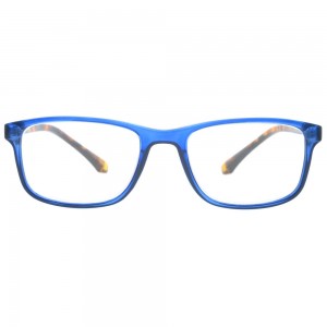 Plastic Reading Glasses