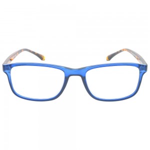 Plastic Reading Glasses