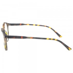 Plastic Reading Glasses