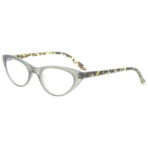 Plastic Reading Glasses