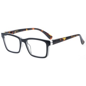 Plastic Reading Glasses