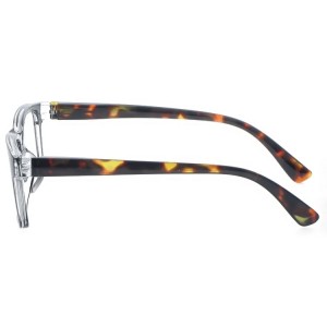 Plastic Reading Glasses