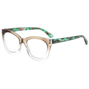 Plastic Reading Glasses