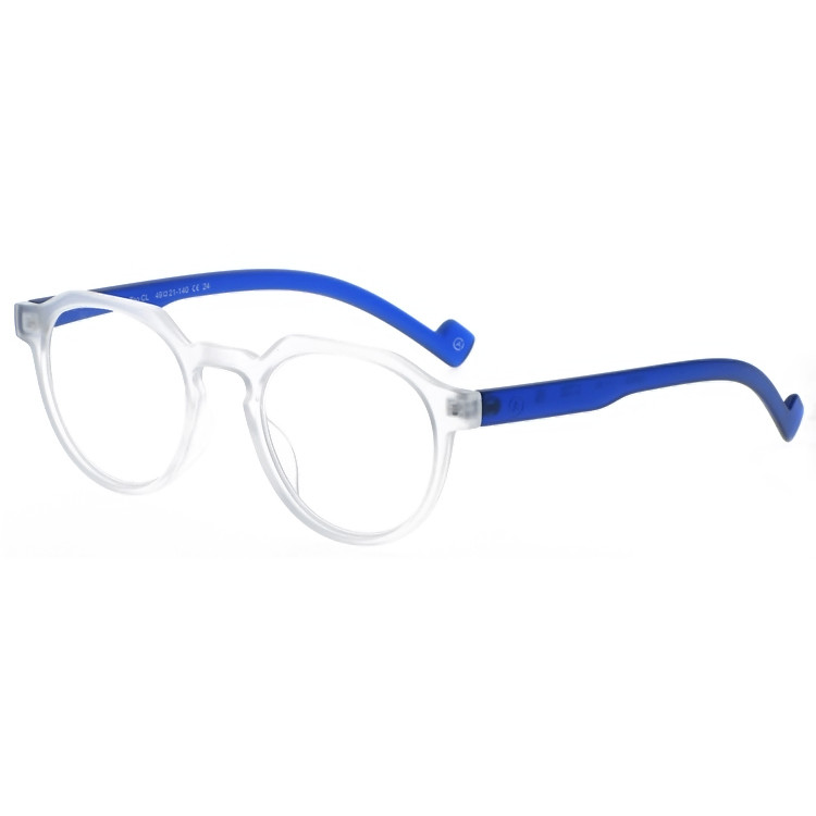 Dachuan Optical DRP102245 China Supplier Hot Sale Reading Glasses With Double Color (14)