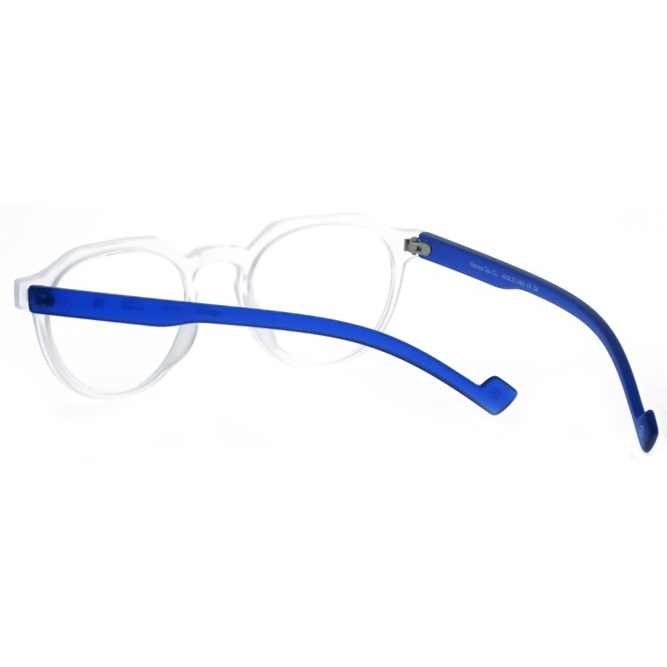 Dachuan Optical DRP102245 China Supplier Hot Sale Reading Glasses With Double Color (16)