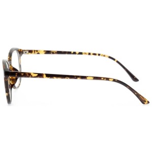 Plastic Reading Glasses