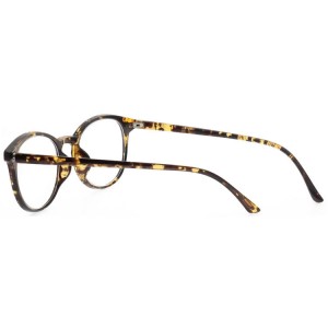 Plastic Reading Glasses