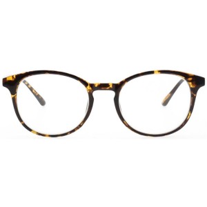 Plastic Reading Glasses